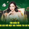 Thực hành cách chơi sảnh game Club Evolution tại Vn88 ăn 100%